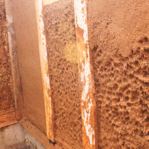 bio construccion