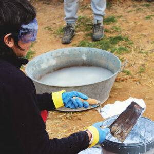 bio construccion