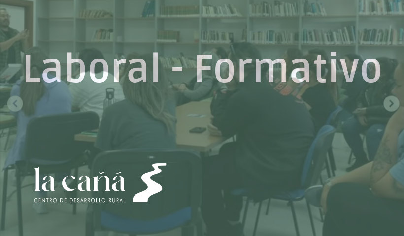 Laboral Formativo